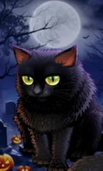 Spooky Halloween